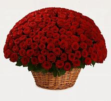 Премиум букет из: Розы в Юркино